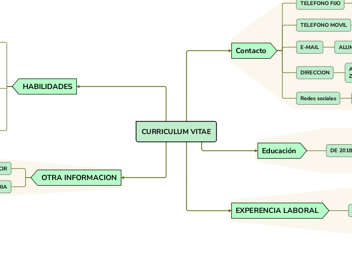 CURRICULUM VITAE - Mind Map